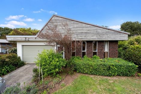 Photo of property in 27 Hibiscus Avenue, Hamilton Lake, Hamilton, 3204