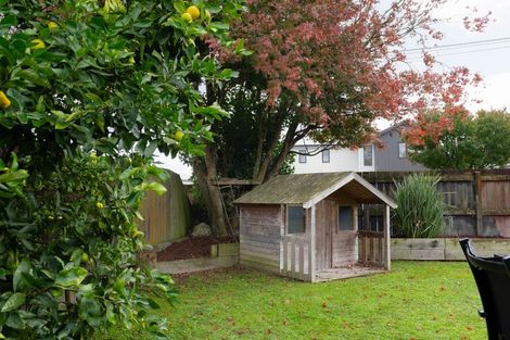 Photo of property in 143 Rimu Street, Maeroa, Hamilton, 3200