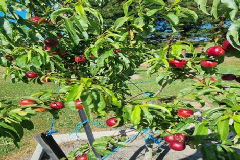 Photo of property in 479 Mcjarrows Road, Oxford, 7430