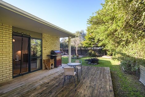 Photo of property in 121 Wyndham Street, Ashhurst, 4810