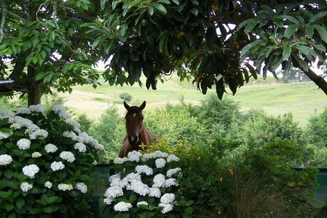 Photo of property in 498 Paratu Road, Richmond Downs, Walton, 3475