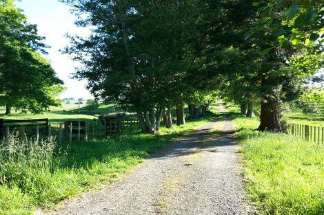 Photo of property in 498 Paratu Road, Richmond Downs, Walton, 3475