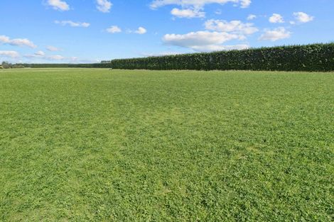 Photo of property in 146 Chatmos Road, Willowby, Ashburton, 7773