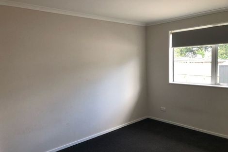 Photo of property in 22a Domain Street, Waiuku, 2123