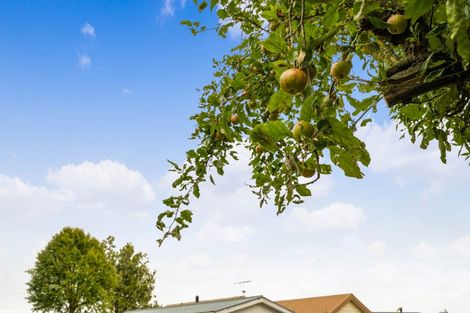 Photo of property in 10 Hororata Dunsandel Road, Dunsandel, 7682