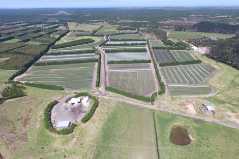 Photo of property in 3167 State Highway 1, Pukenui, Kaitaia, 0484