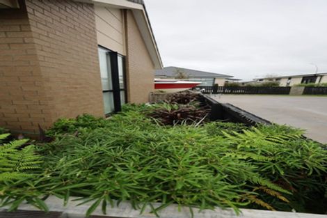 Photo of property in 9 Kaitaka Way, Papamoa, 3118