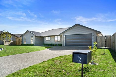 Photo of property in 12 Kaiora Drive, Papamoa Beach, Papamoa, 3118