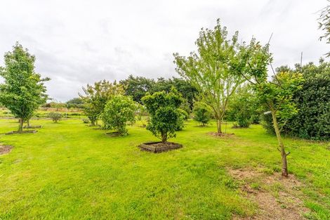 Photo of property in 20 Willowbridge Road, Waimate, 7980