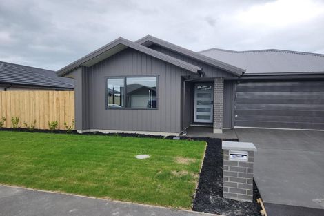 Photo of property in 43 Ellesmere Street, Marshland, Christchurch, 8083