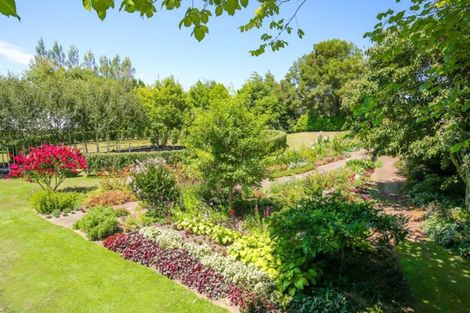 Photo of property in 119 West Road, Ohaupo, 3881