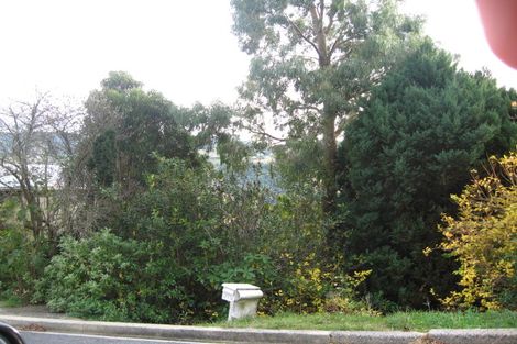 Photo of property in 215 Signal Hill Road, Opoho, Dunedin, 9010