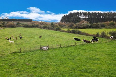 Photo of property in 60 Walford Road, Aongatete, Katikati, 3181