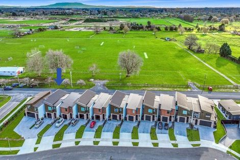 Photo of property in 3 Ruge Court, Cambridge, 3434