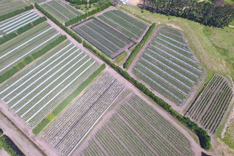 Photo of property in 3167 State Highway 1, Pukenui, Kaitaia, 0484