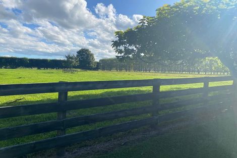 Photo of property in 241 Mangaroa Road, Bridge Pa, Hastings, 4174