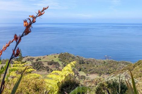 Photo of property in 170 Radar Road, Whenuakite, Whitianga, 3591