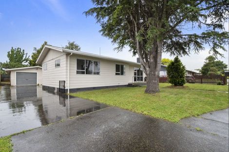 Photo of property in 17 Tingey Avenue, Feilding, 4702