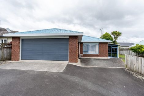 Photo of property in 167a Clarkin Road, Fairfield, Hamilton, 3214