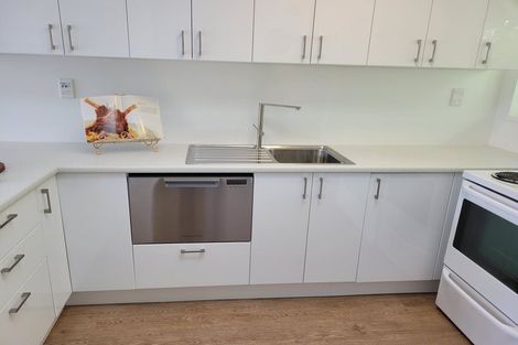 Photo of property in 2/22 Mccoll Street, Vogeltown, Wellington, 6021