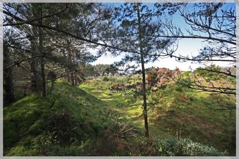 Photo of property in 66 Palmer Road, Foxton Beach, Foxton, 4891