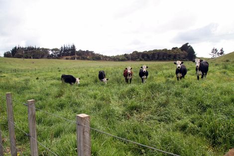 Photo of property in 3167 State Highway 1, Pukenui, Kaitaia, 0484