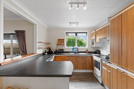Photo of property in 113 Buckland Street, Putaruru, 3411