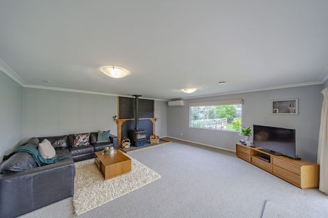 Photo of property in 12 Hatuma Road, Waipukurau, 4200