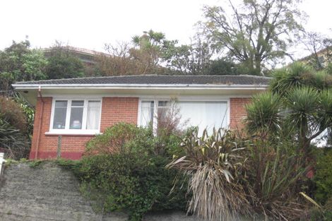 Photo of property in 19 Warrender Street, North Dunedin, Dunedin, 9016