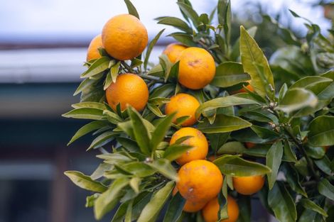 Photo of property in 939 Mokau Road, Mimi, Urenui, 4377