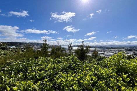 Photo of property in 50 Rodrigo Road, Kilbirnie, Wellington, 6022