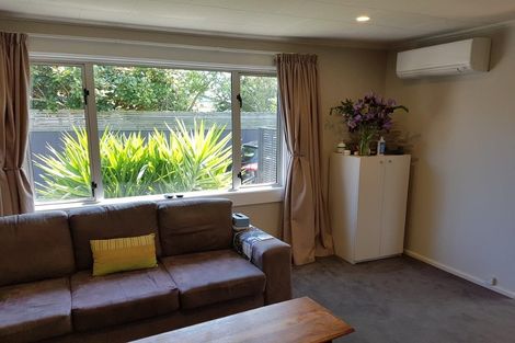 Photo of property in 26 Torrens Road, Hillmorton, Christchurch, 8024