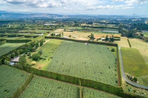 Photo of property in 905 Oropi Road, Oropi, Tauranga, 3173