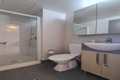 Photo of property in Dual Apartments, 308/142 Vivian Street, Te Aro, Wellington, 6011