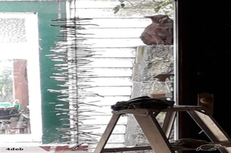 Photo of property in 176 The Esplanade, Island Bay, Wellington, 6023