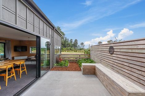 Photo of property in 52 John Norrie Place, Motuoapa, Turangi, 3382