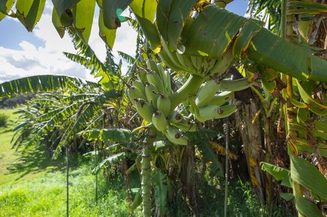 Photo of property in 410 Mahuta Road, Mahuta, Dargaville, 0371