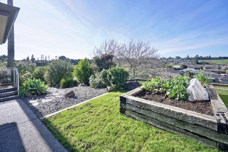 Photo of property in 48 Oxford Street, Te Puke, 3119