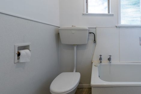 Photo of property in 55 Hutchinson Avenue, New Lynn, Auckland, 0600