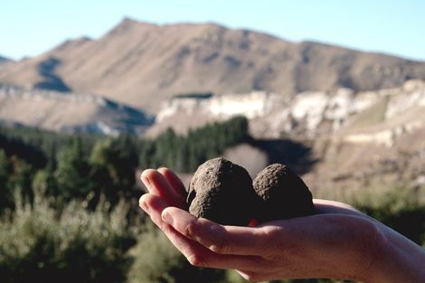 Photo of property in 101 Laidmore Road, Broomfield, 7482