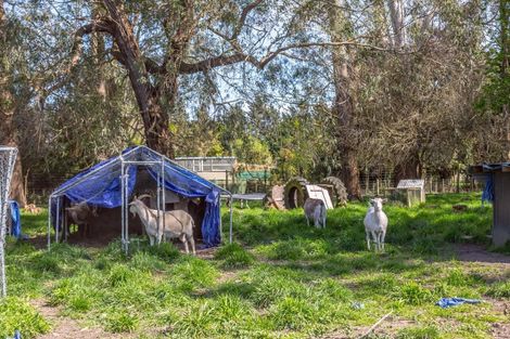 Photo of property in 53 Oak Street, Masterton, 5810