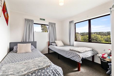 Photo of property in 728 No 1 Road, Te Puke, 3182