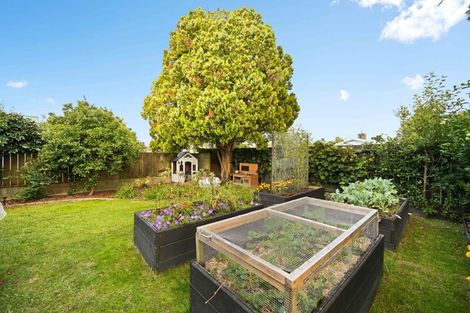 Photo of property in 30 Rhonda Avenue, Deanwell, Hamilton, 3206