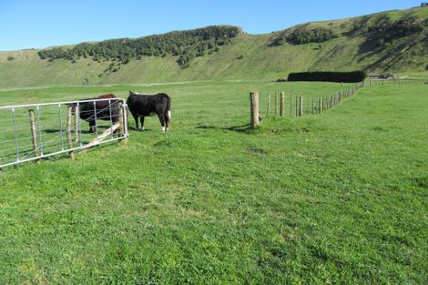 Photo of property in 52 Grant Road, Kinloch, Taupo, 3385