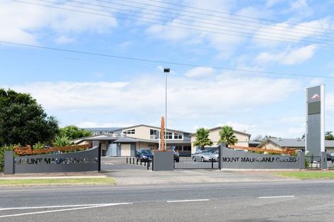 Photo of property in 115 Links Avenue, Mount Maunganui, 3116