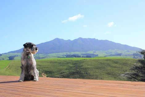 Photo of property in 87d Houchen Road, Raglan, 3295