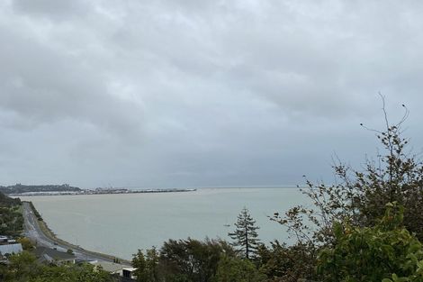 Photo of property in 1 Ruffell Place, Atawhai, Nelson, 7010