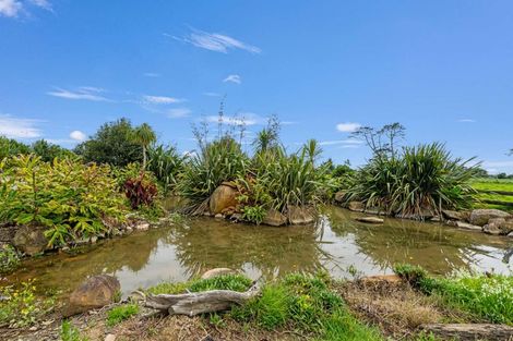 Photo of property in 4675 State Highway 12, Ruawai, 0592