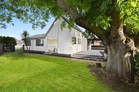 Photo of property in 19 Morrow Avenue, St Andrews, Hamilton, 3200