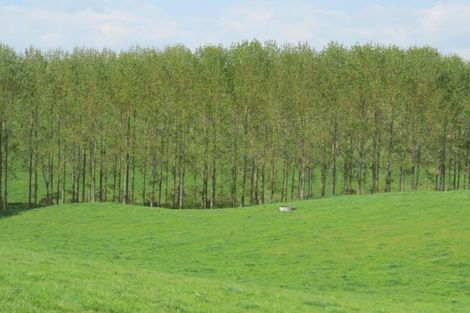 Photo of property in 23 Hinewai Road, Te Kawa, Te Awamutu, 3873